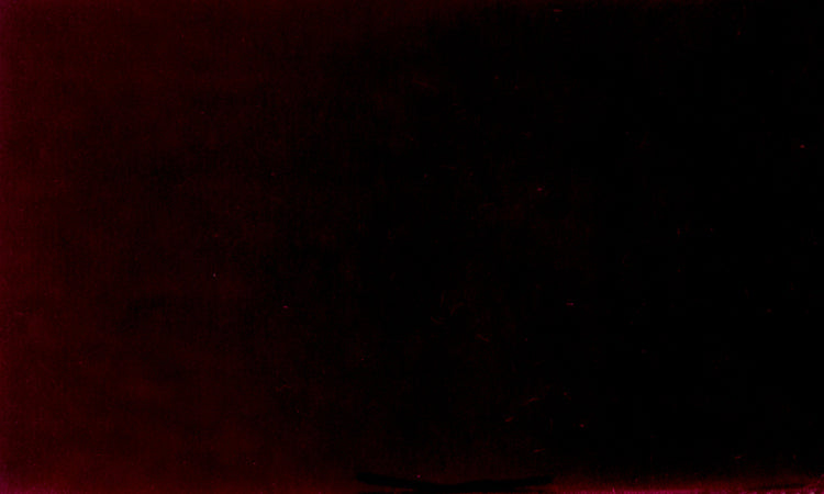 Samtband Burgundy 434 - Dunkles Weinrot