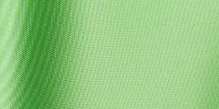 Satinband Spring Green 813 - Helles Blattgrün