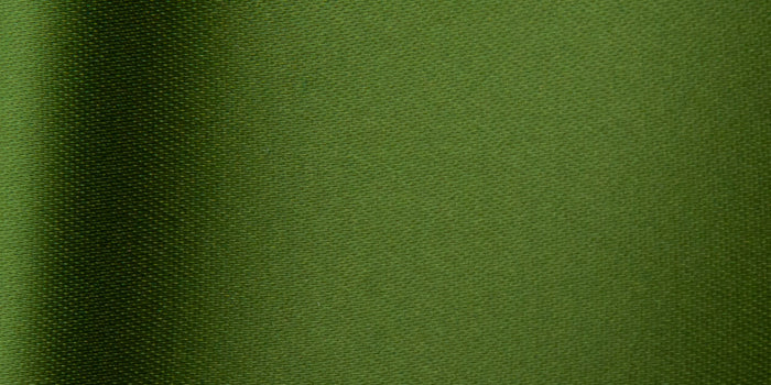 Satinband Moss 819 - Moosgrün