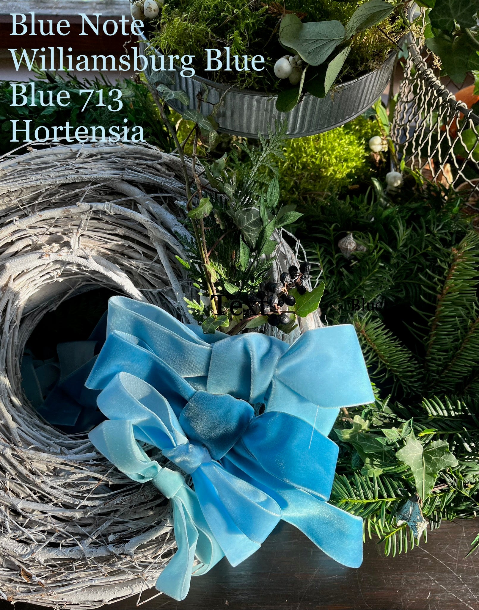 Williamsberg Blue Velvet Ribbon By The Yard