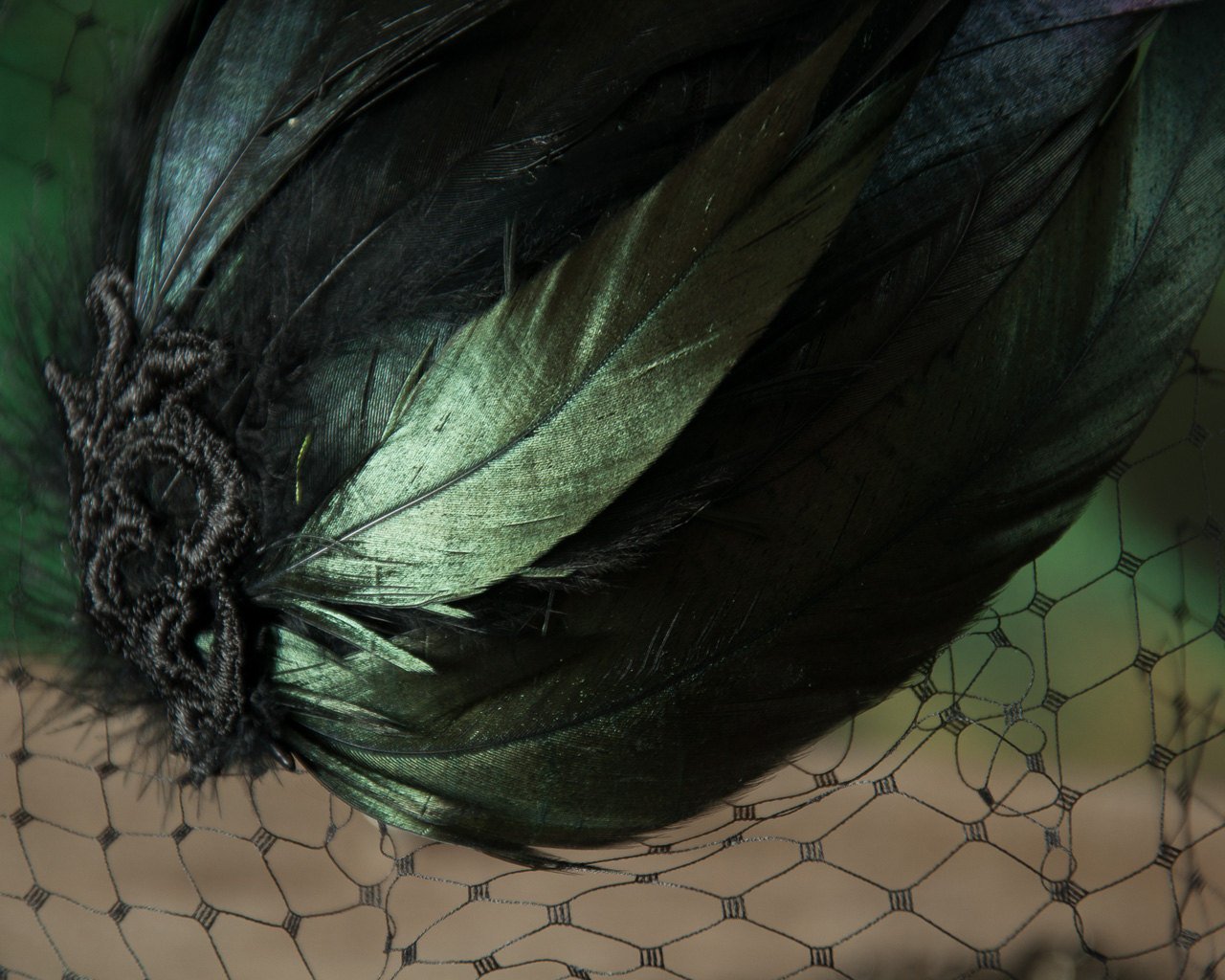 BIRDCAGE FASCINATOR - WITH SHIMMERING FEATHERS IN BLACK AND GREEN © Seegang Berlin